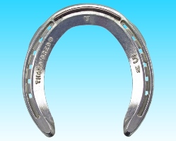 TB Wide Web Plain Hind Side Clip